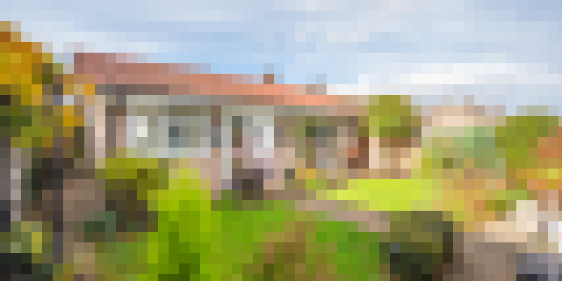 Image1