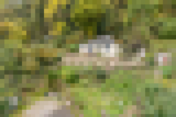 DJI 0203