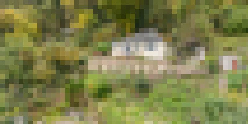 DJI 0203