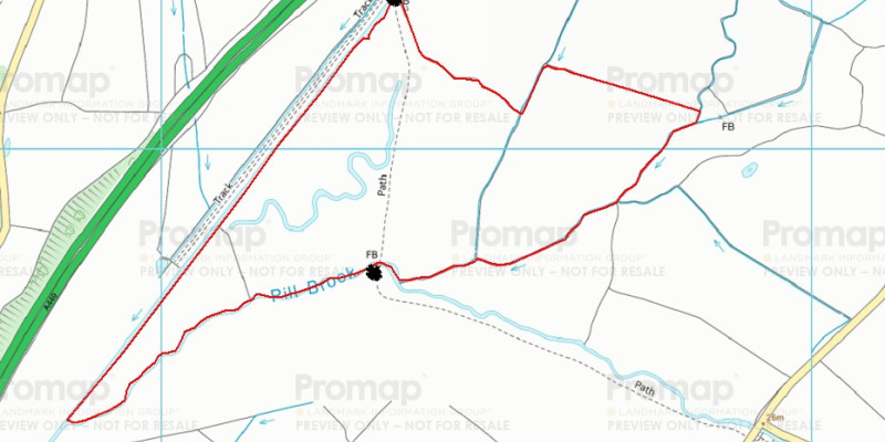 Caernarval Plan
