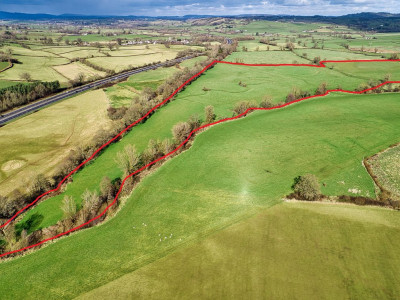 Stanton Caernarval 0748.jpg RED