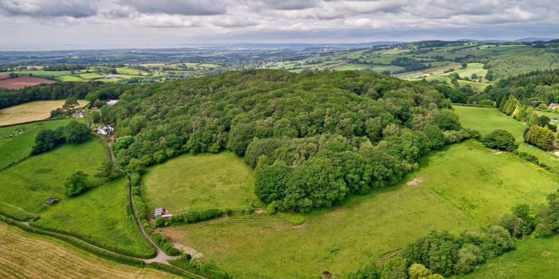 Stanton Castell Prin Wood 0034