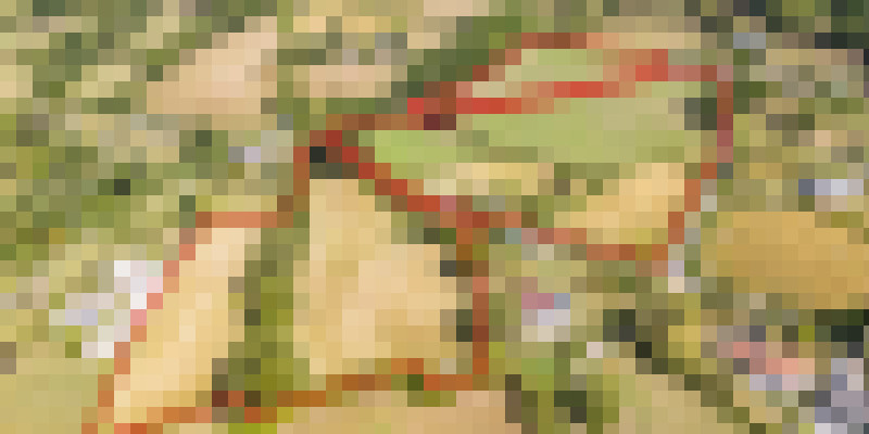 DJI 0009 RED