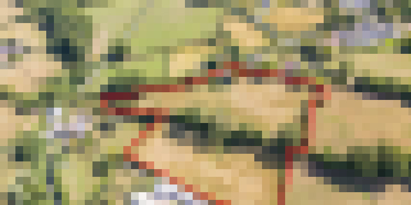 DJI 0011 RED
