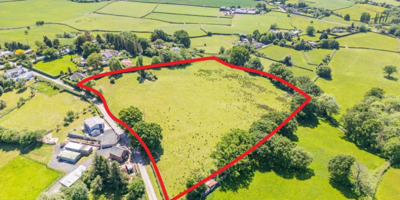 Kingcoed DJI 0476 RED