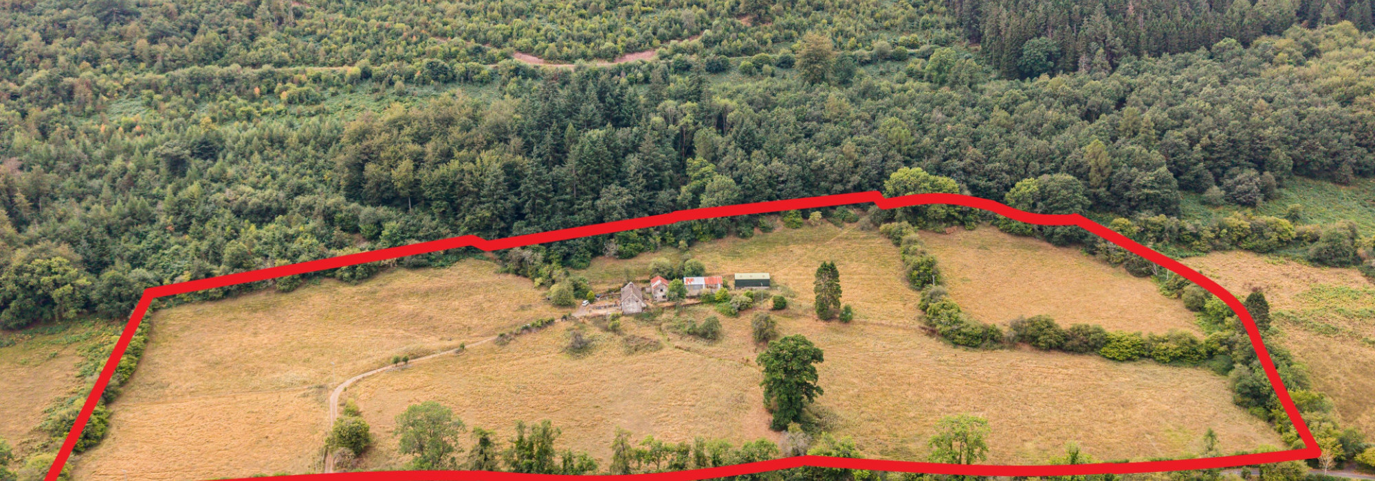 DJI 20260825115033 0005 D RED