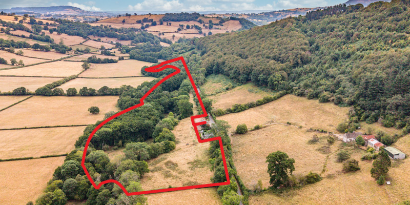 DJI 20260825115323 0007 D Edit RED