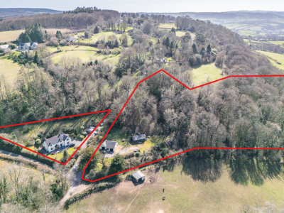 Cushy Dingle front shot 