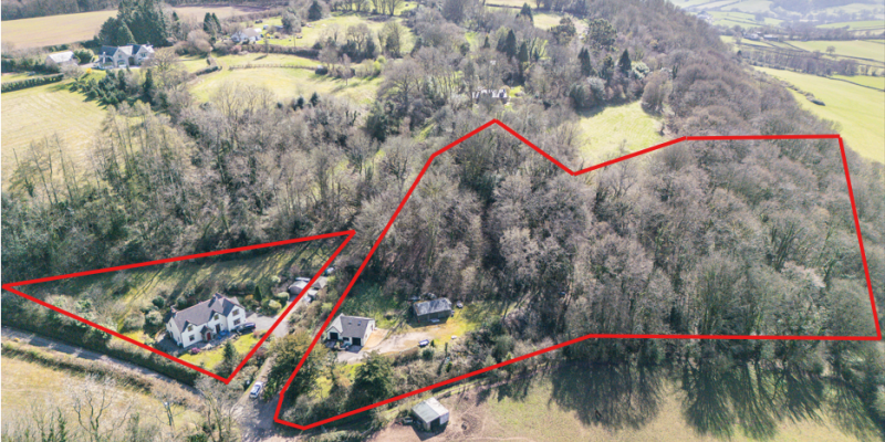 Cushy Dingle front shot 