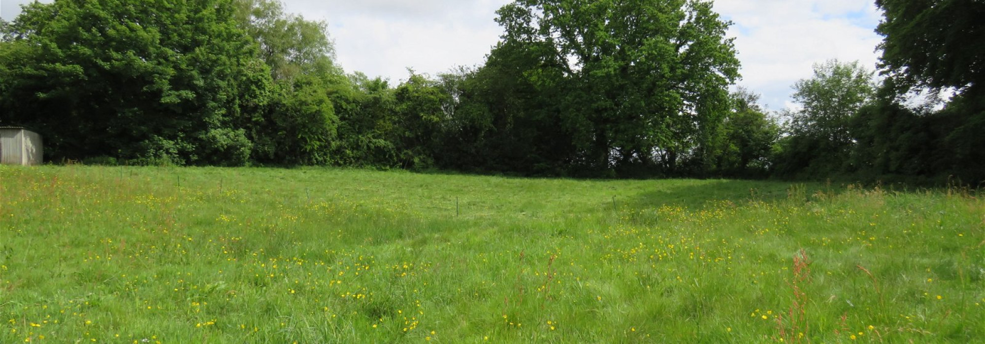 Looking at building site from field 1 1718120550704