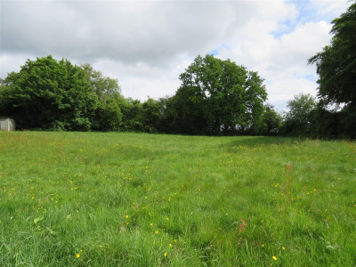 Looking at building site from field 1 1718120550704