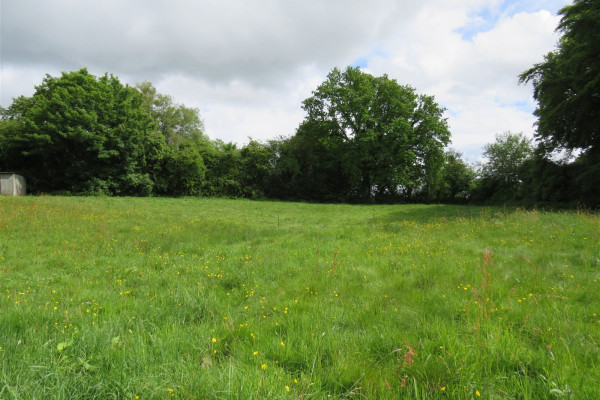 Looking at building site from field 1 1718120550704