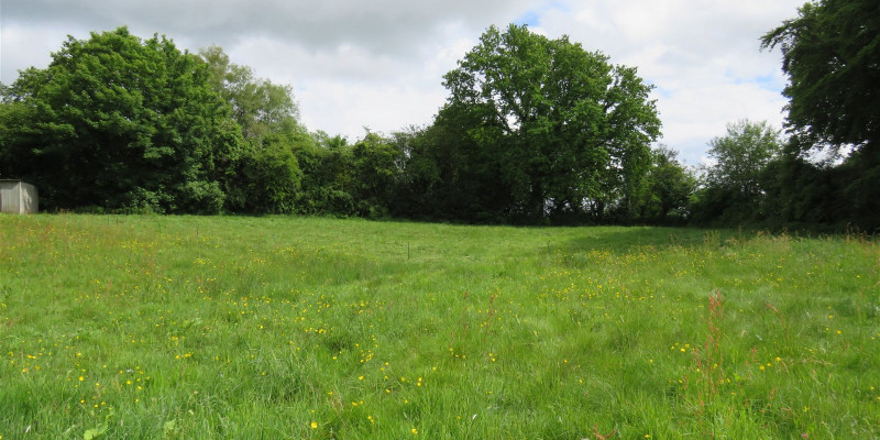 Looking at building site from field 1 1718120550704