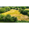 DJI 20250702122853 0498 D