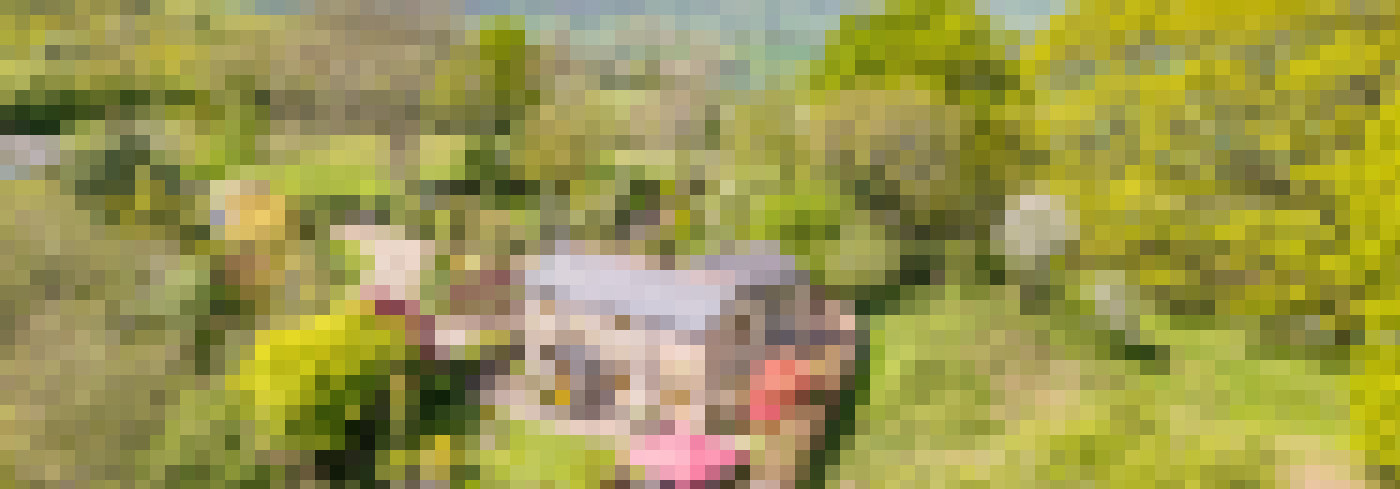DJI 0330