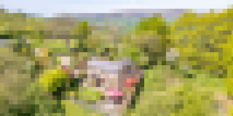 DJI 0330