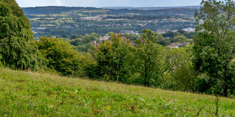 8394862 exterior01 800