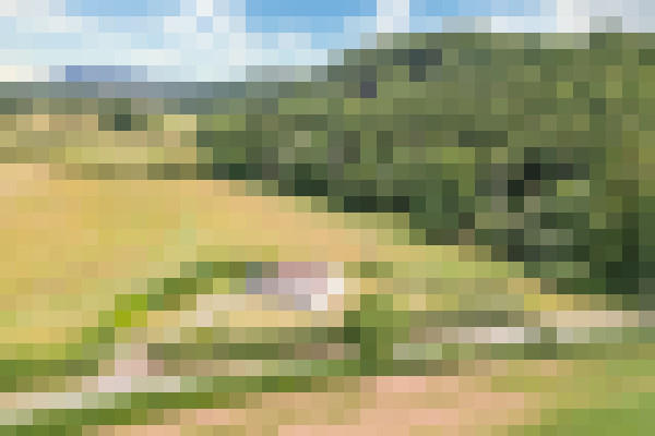 DJI 0903 Edit Edit