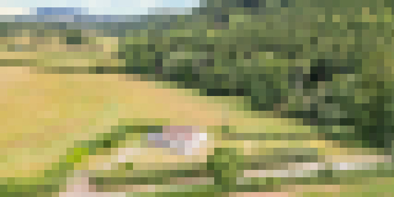 DJI 0903 Edit Edit