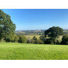 N Wilkes image 1
