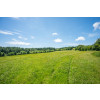 DFB7250Lot 2