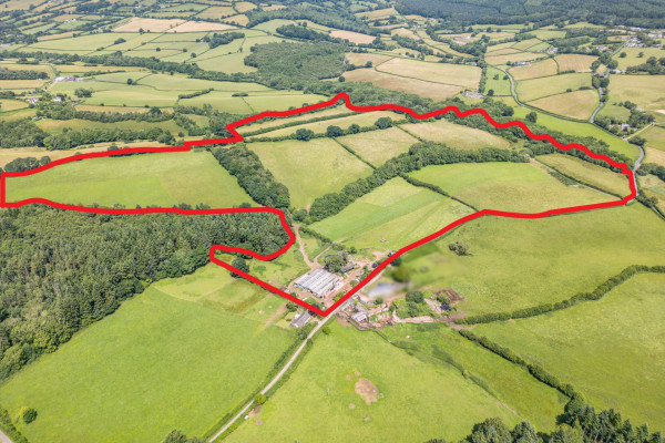 DJI 0846Lot 2 RED Blur