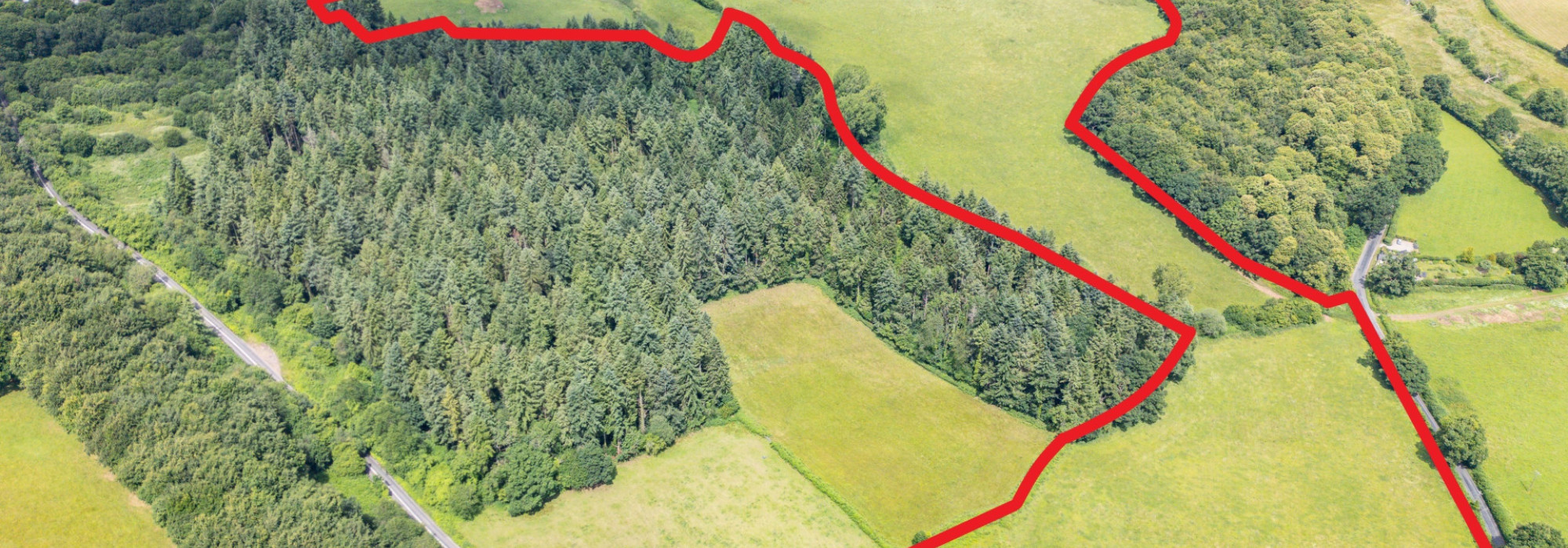 DJI 0854Lot 3 RED Blur