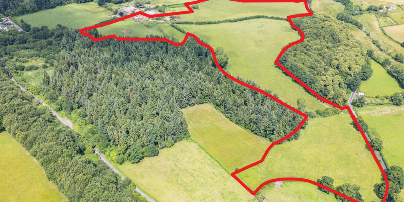 DJI 0854Lot 3 RED Blur