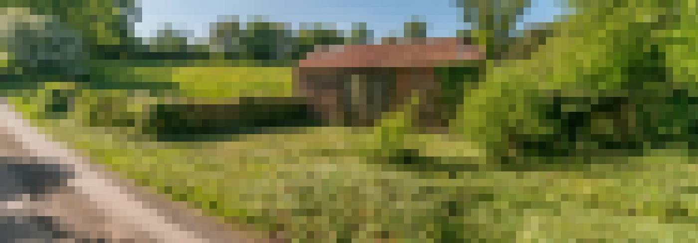 DSC0001k