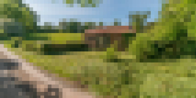 DSC0001k