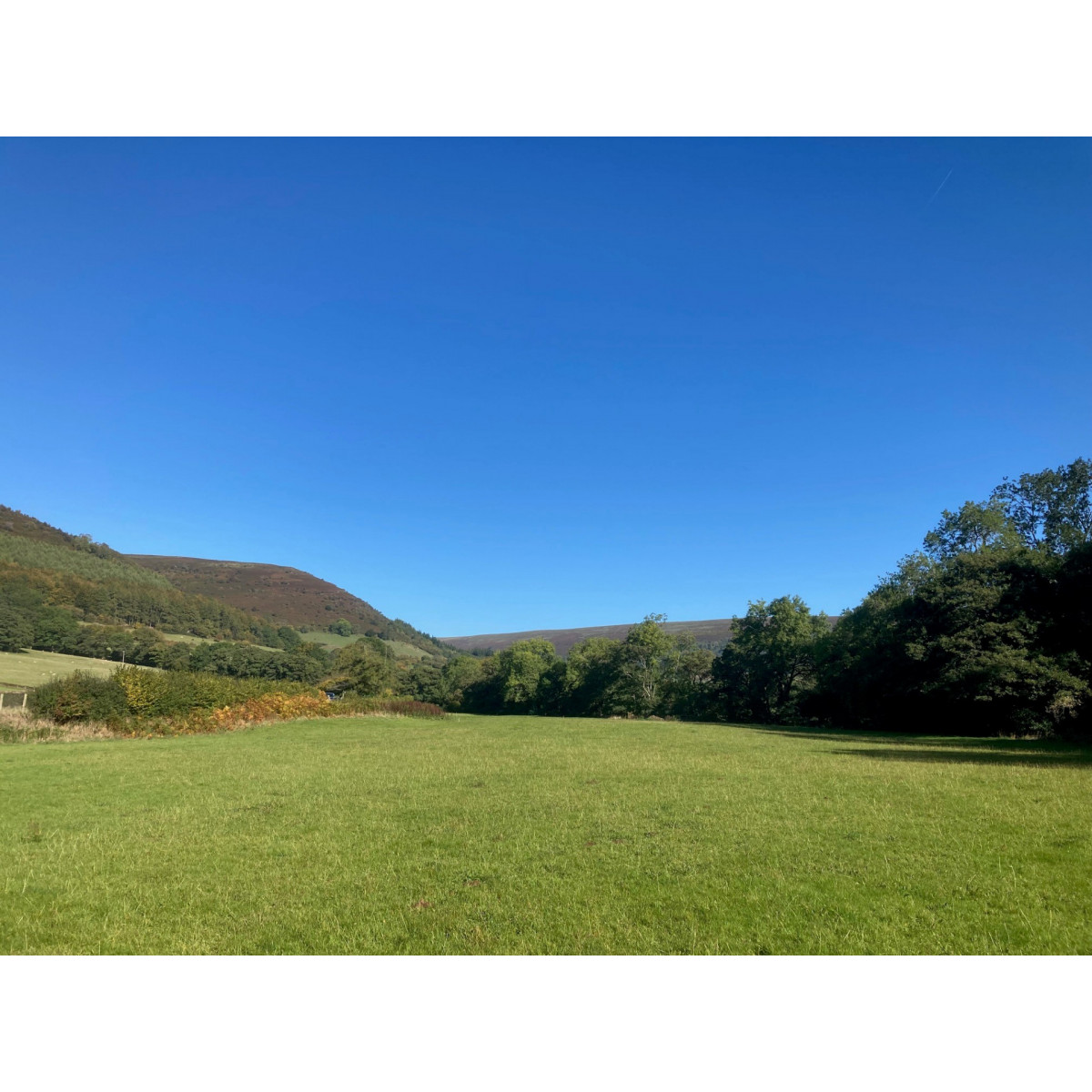 Properties For Sale » Powells Rural Agency