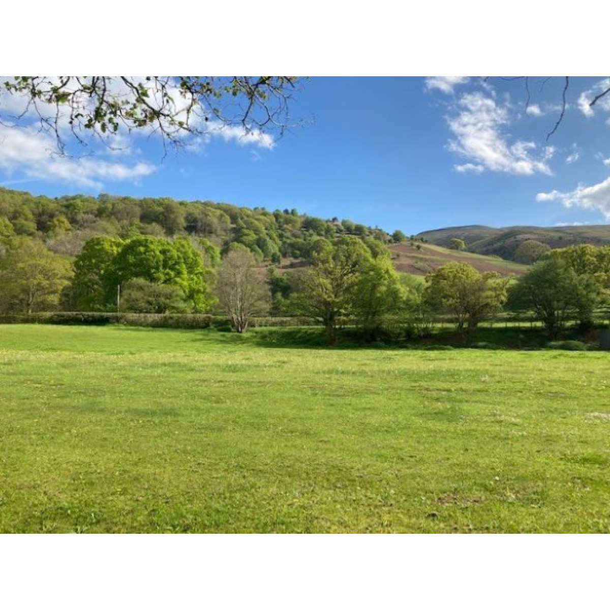 Properties For Sale » Powells Rural Agency