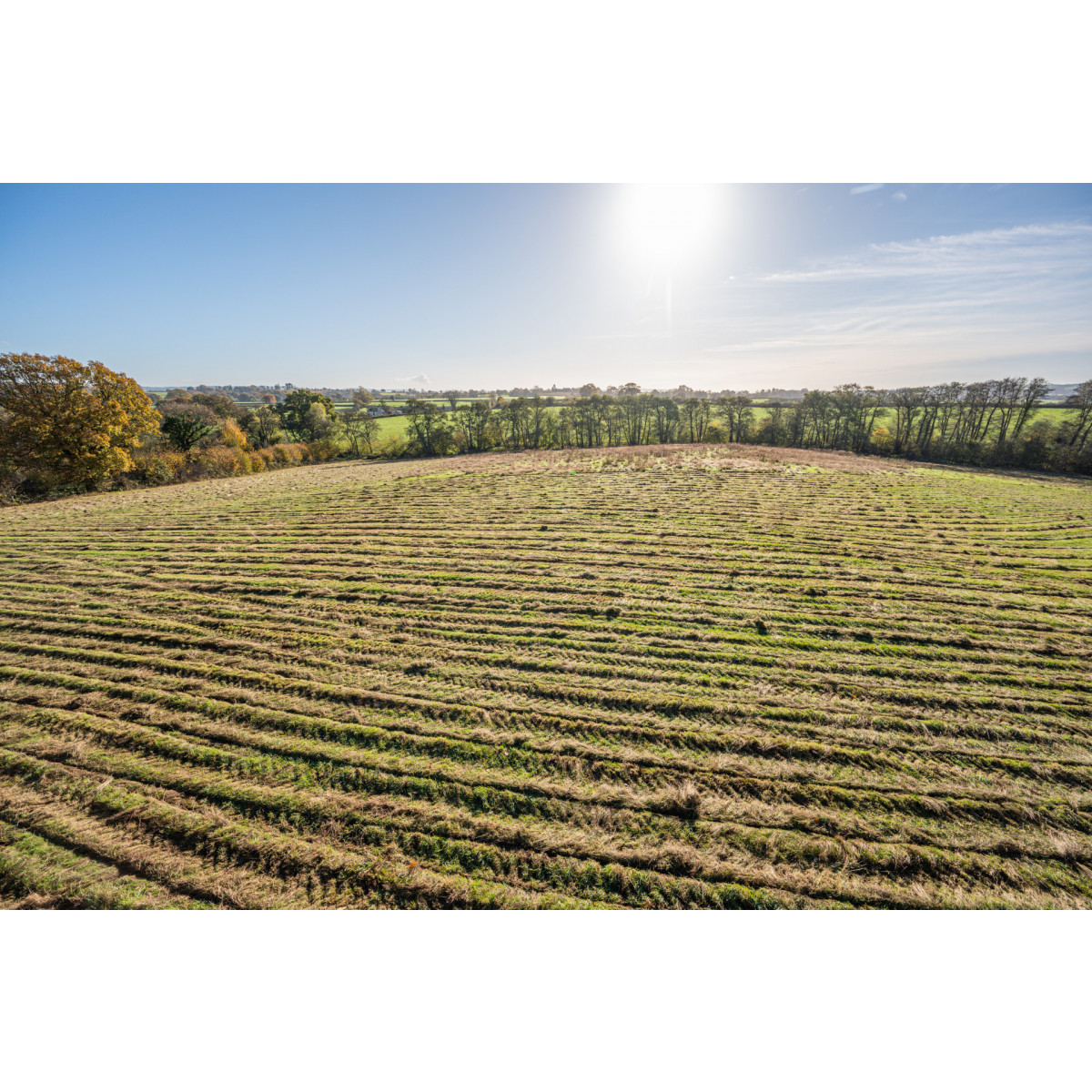 Land at Penrhos, Raglan, Usk, Monmouthshire » Powells Rural Agency