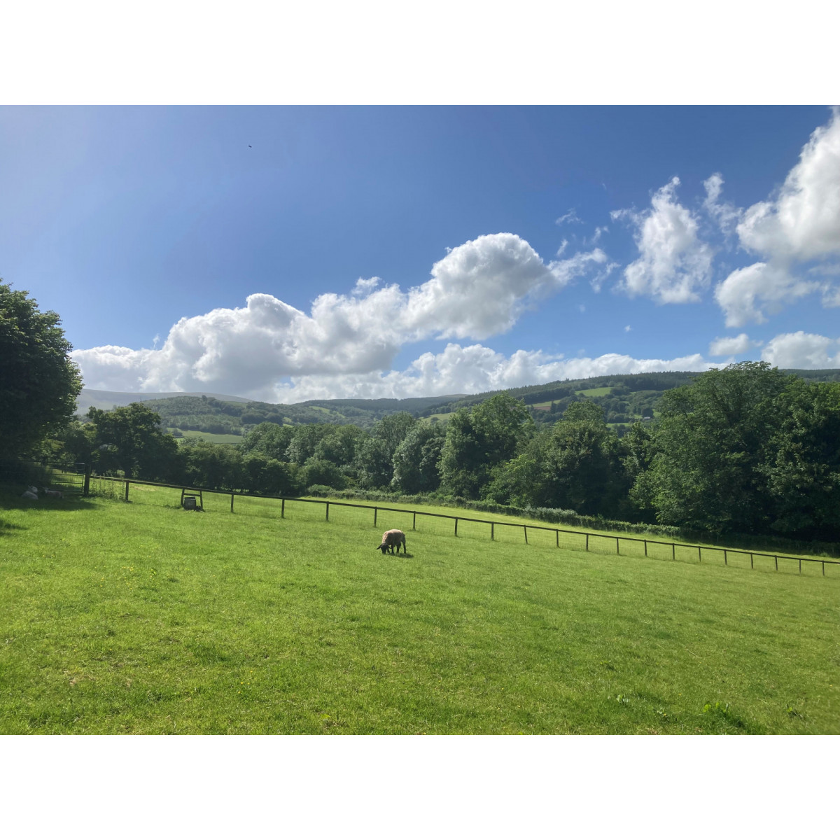 Properties For Sale » Powells Rural Agency