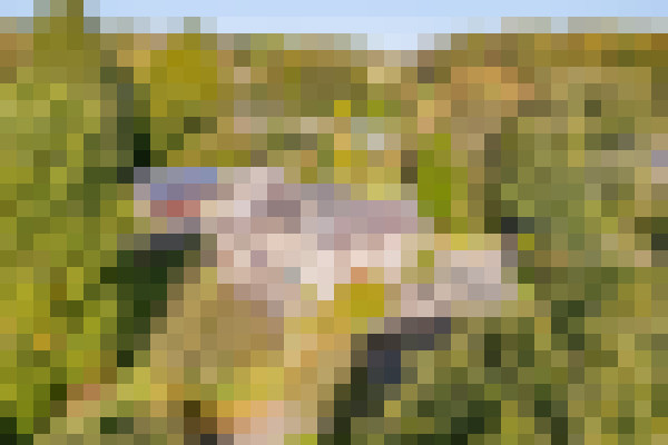 DJI 0175