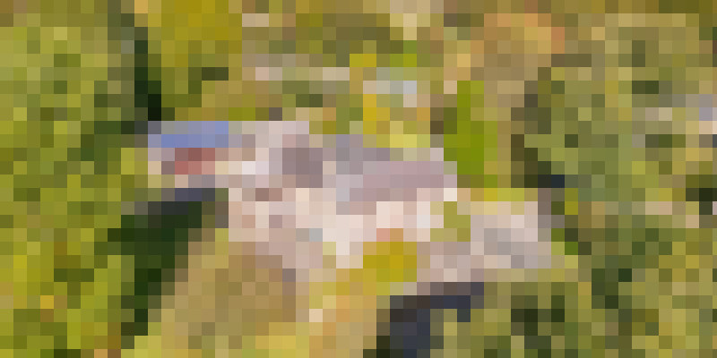 DJI 0175