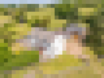 DJI 0773