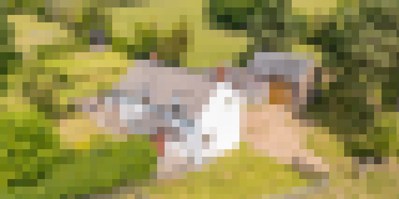 DJI 0773