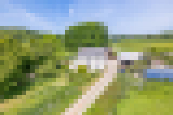 DJI 0424