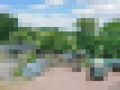 DJI 0791