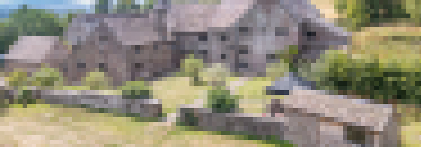 DJI 0024