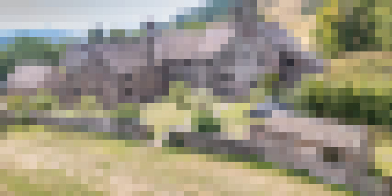 DJI 0024
