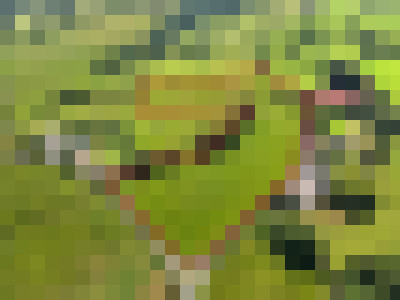 DJI 20250613111646 0587 D RED