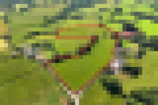 DJI 20250613111646 0587 D RED