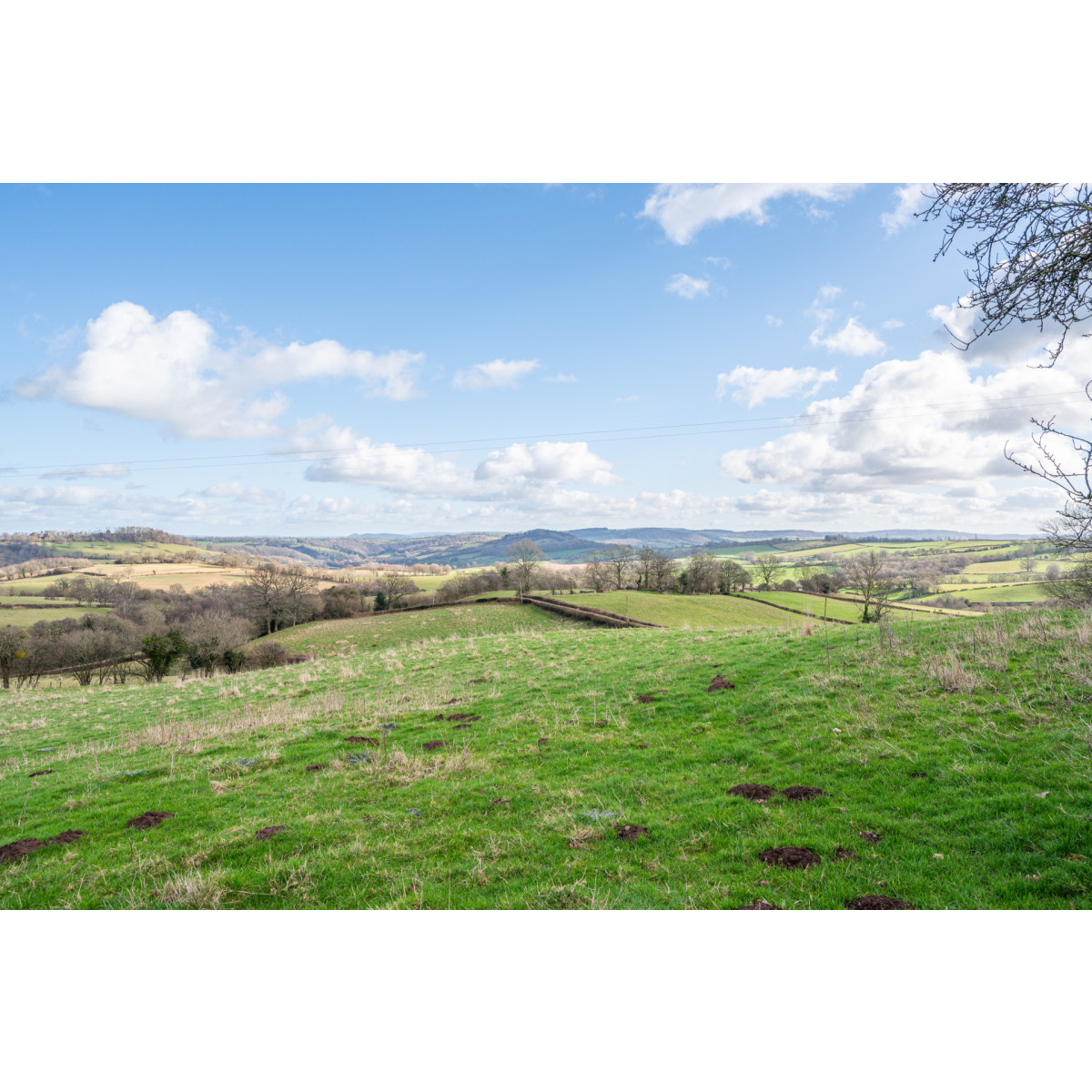 Properties For Sale » Powells Rural Agency