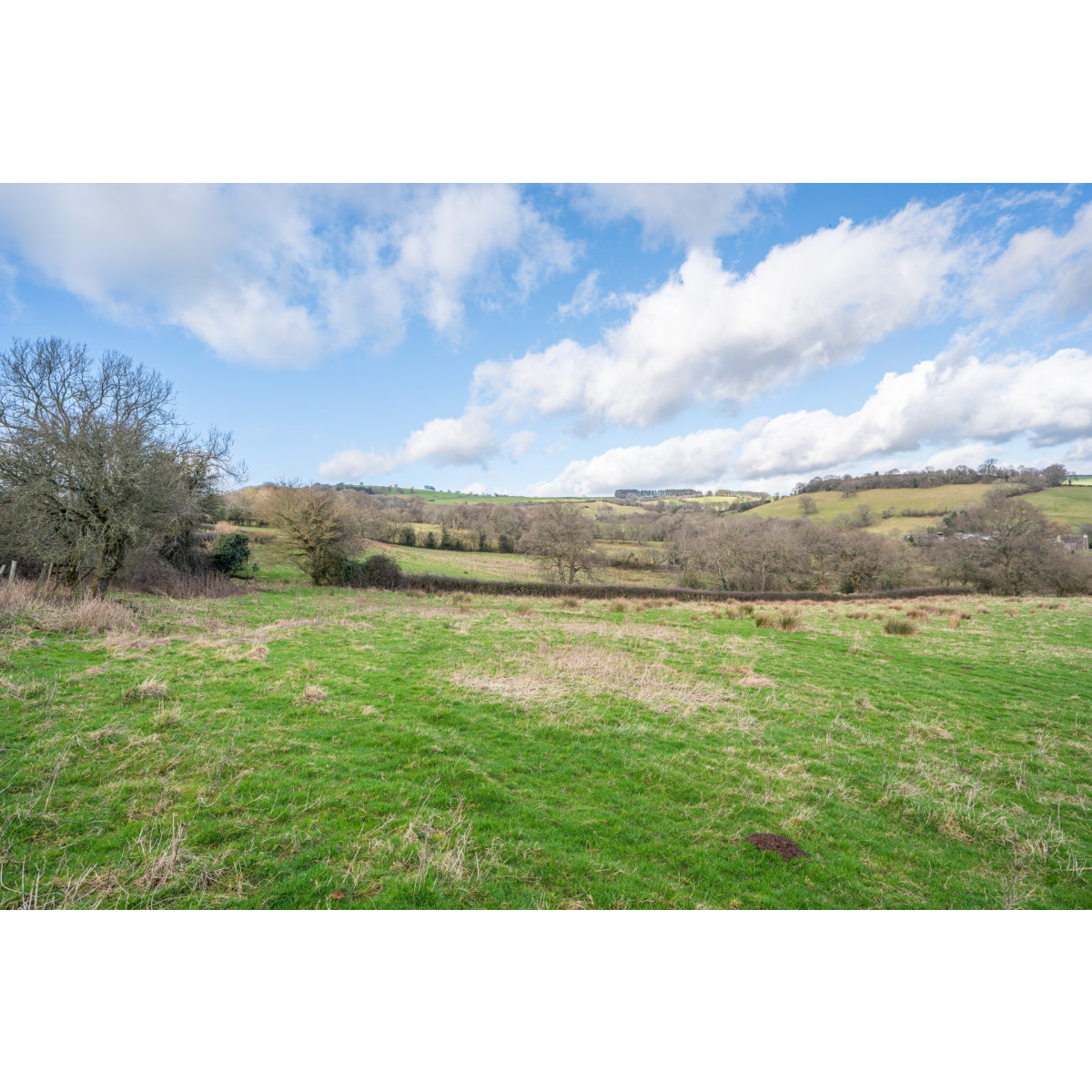 Properties For Sale » Powells Rural Agency