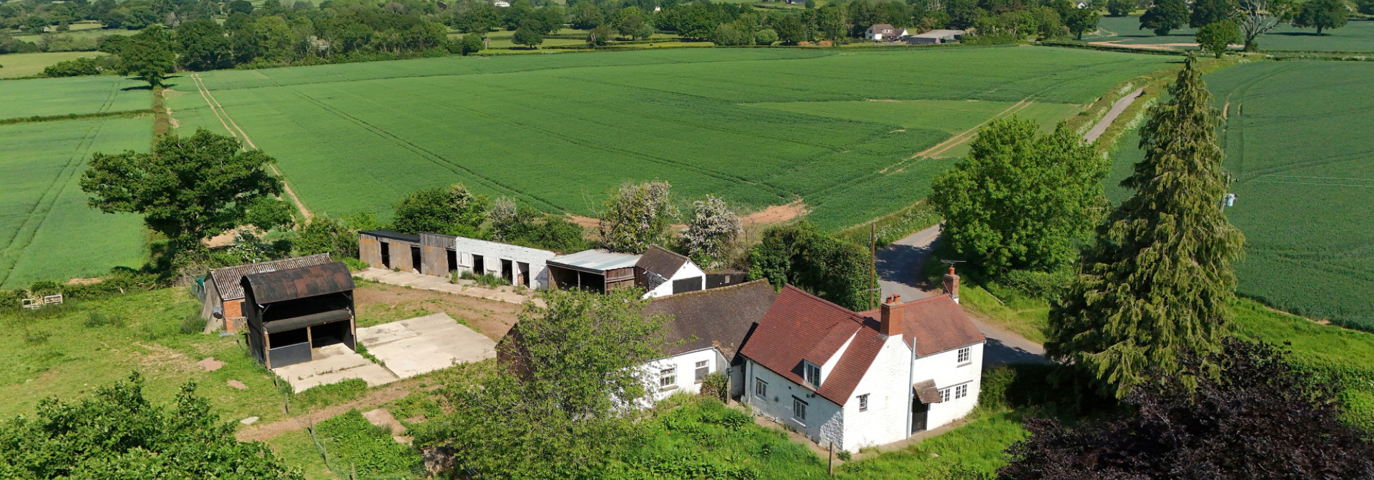 DJI 20250514102803 0313 D