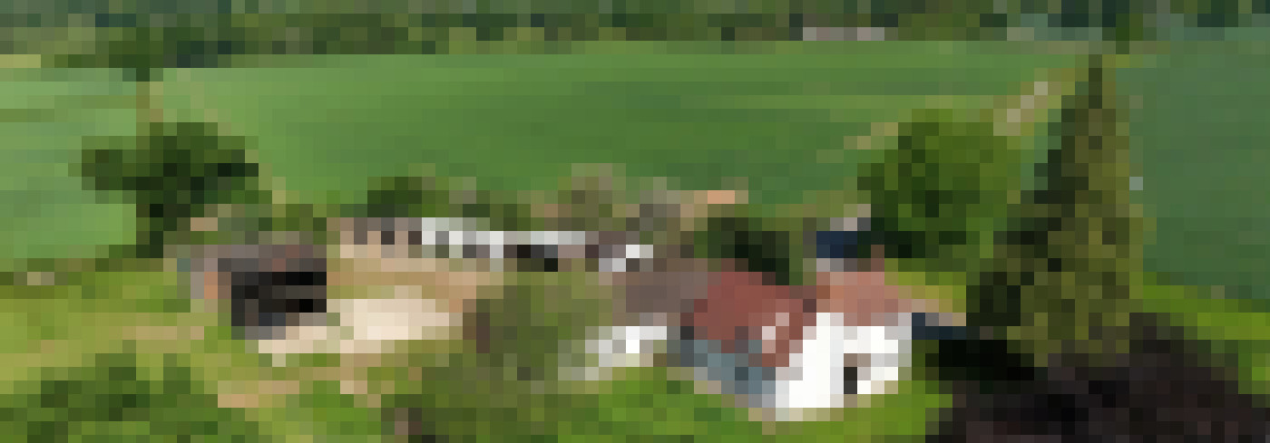 DJI 20250514102803 0313 D