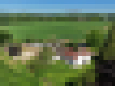 DJI 20250514102803 0313 D