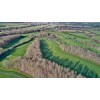 Stanton Raglan Golf 0230